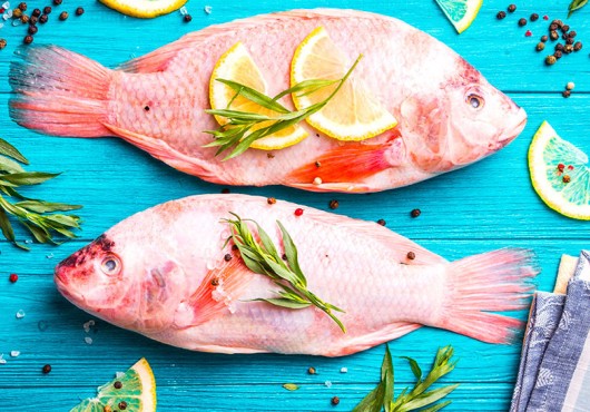L’Ifad veut être une référence en matière de formation aux métiers de l’aquaculture
