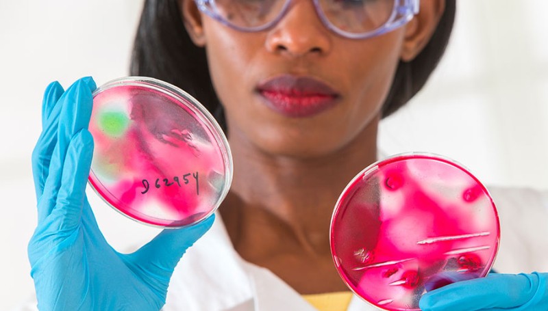 L’Institut National Polytechnique Félix HOUPHOUËT-BOIGNY lance un appel à candidature pour recruter des étudiantes de 3e cycle
