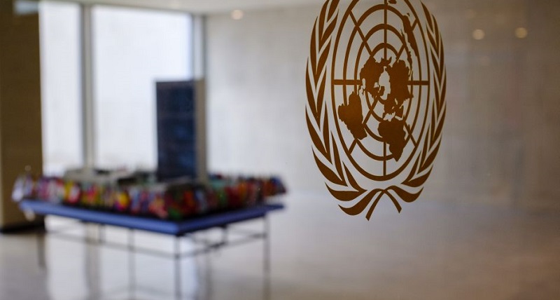 Programme des Jeunes Professionnels des Nations Unies 2025