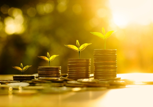 Devenons acteurs du développement durable