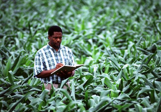 La BOAD recrute un (1) Ingénieur agronome