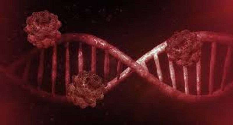 La Russie a entièrement décodé le génome du coronavirus