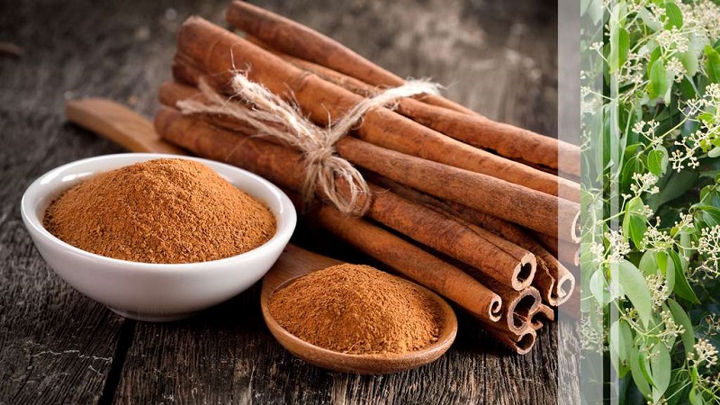 La cannelle aiderait à éviter le diabète, selon une nouvelle étude