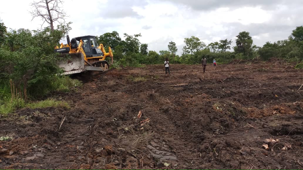 Togo / Plan de riposte agricole : essouchement de 8 000 hectares de terre pour la campagne 2020-2021