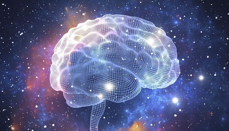 Des scientifiques réussissent à inverser le vieillissement du cerveau