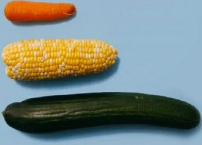 La taille du phallus peut-elle influencer les chances de conception ?, voici l’avis des scientifiques
