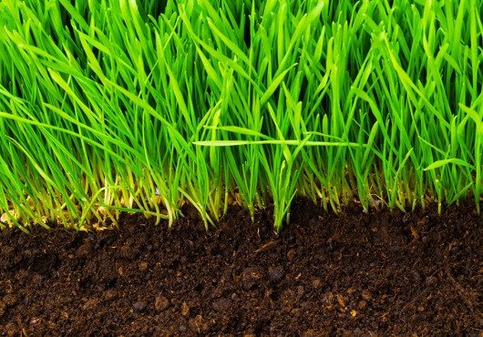 L’ANPE recrute pour un projet agricole