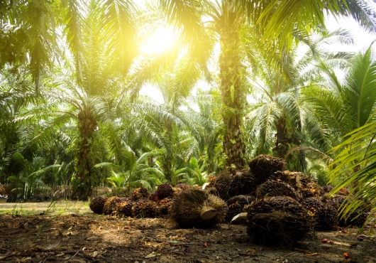 Agribusiness Tech camp : encore 24h pour postuler