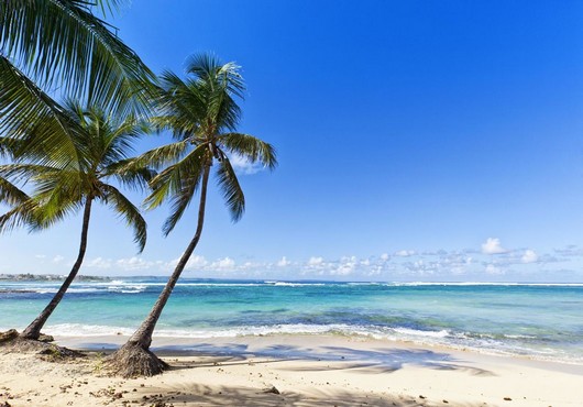A nous l’opération plage propre