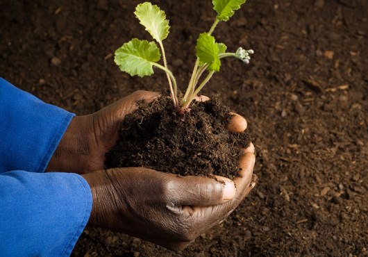 Le Togo de l’après-COP 22