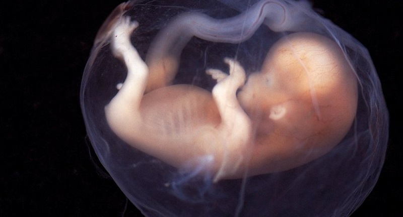 Le créateur des bébés génétiquement modifiés condamné à trois ans de prison en Chine