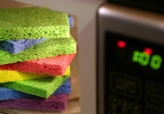 Le danger inattendu des micro-ondes pour l’environnement révélé