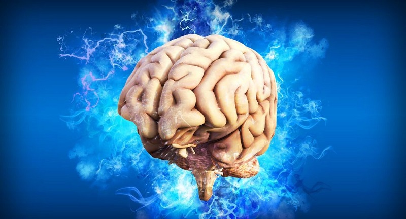 Le déclin de l’intelligence humaine prédit par des chercheurs
