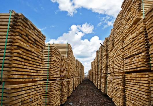 Le marché physique national de bois d’œuvre en préparation