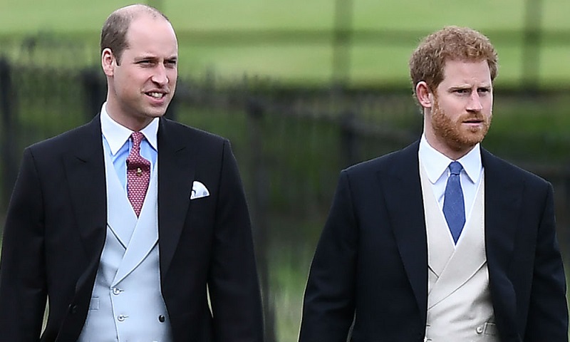 Le prince Harry isolé : voici comment l’absence de son  frère pèse  sur lui