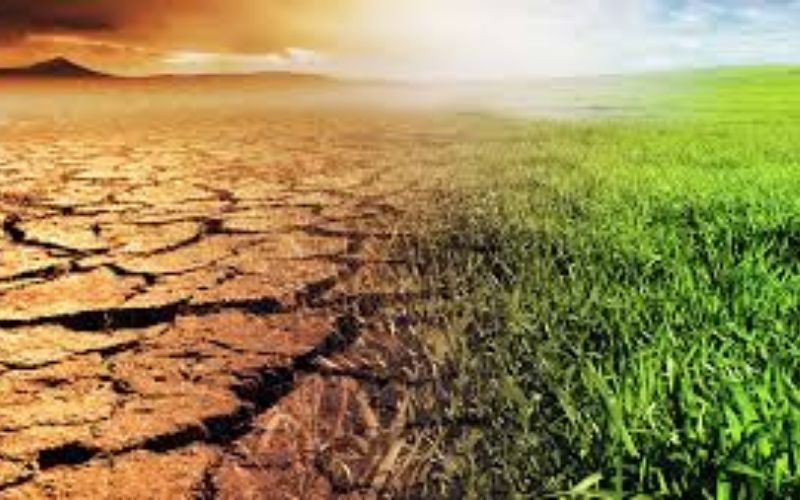 Le réchauffement climatique serait plus rapide la nuit que le jour