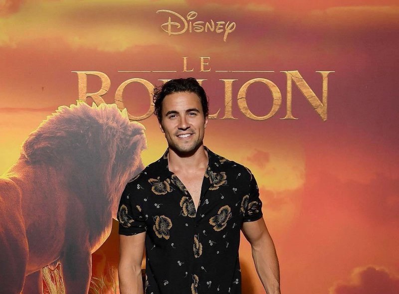 Le roi Lion dans une nouvelle version