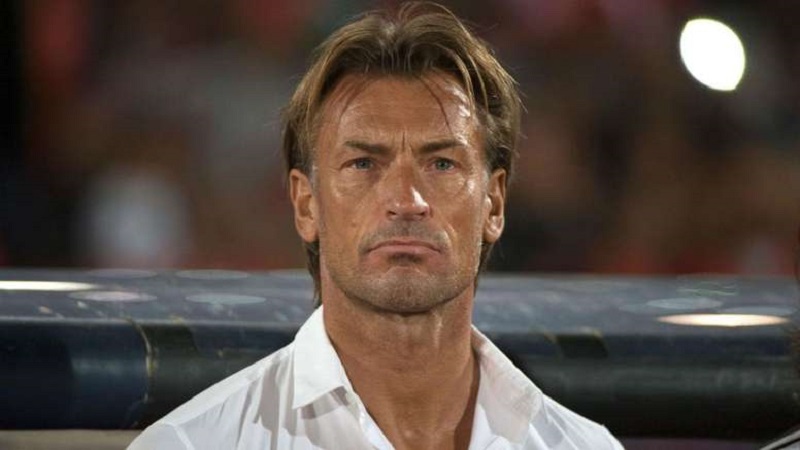 Côte d’Ivoire : Hervé Renard de nouveau à la tête des Éléphants ? Le technicien ne serait pas…