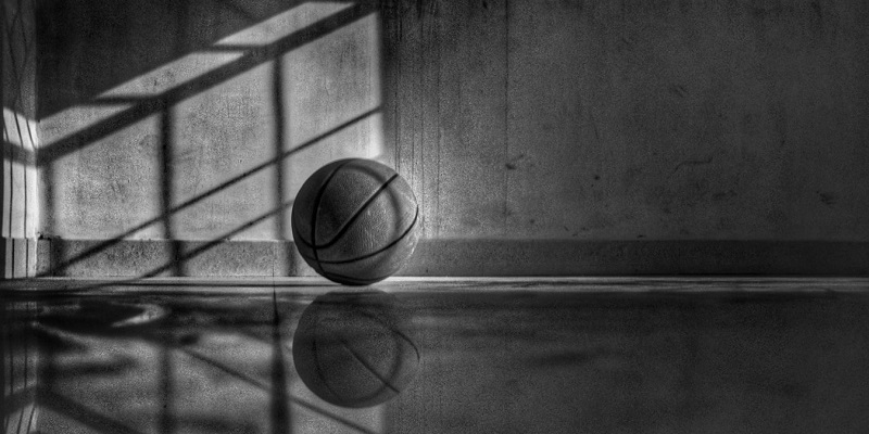 Les basketteurs africains qui devraient briller au JO 2020