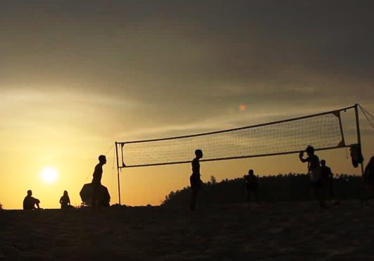 Les enseignants de Volley à l’école des bases