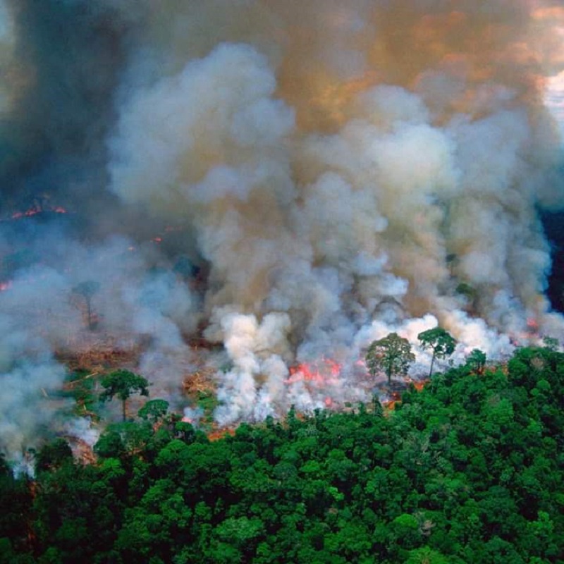 Amazonie : les flammes continuent leur progression, des centaines de nouveaux départs de feu recensés