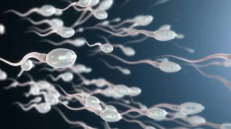 Les hommes sont-ils prêts à prendre la pilule contraceptive ?