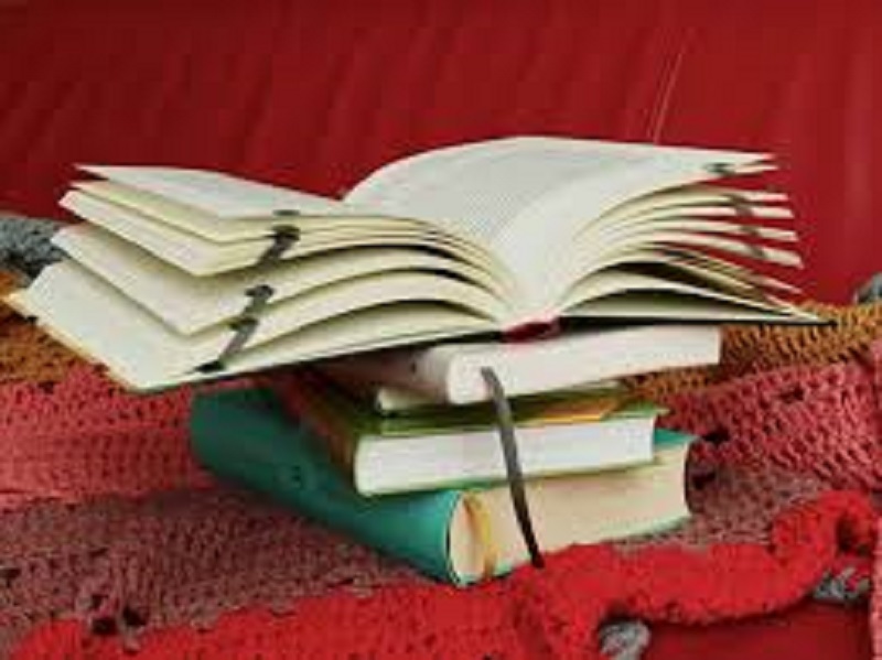Littérature : la lauréate du prix Goncourt des lycéens connue
