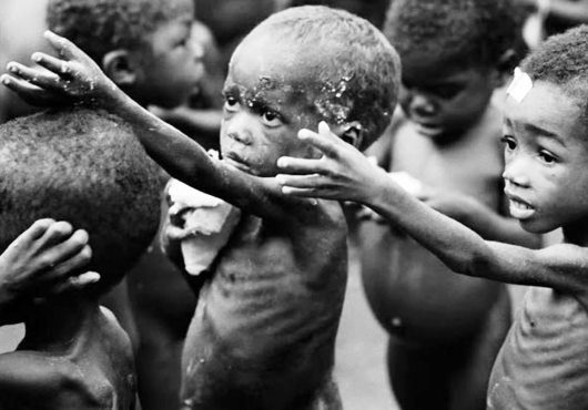 Voici les 5 actions climatiques préconisées par la FAO pour éliminer la faim dans le monde
