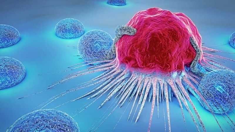 Lutte contre le cancer : des « super soldats » pour faire face aux tumeurs