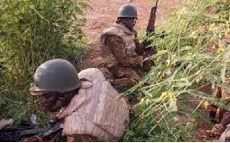 Du Donbass au désert malien : voici comment les tactiques militaires ukrainiennes s'exportent au Sahel