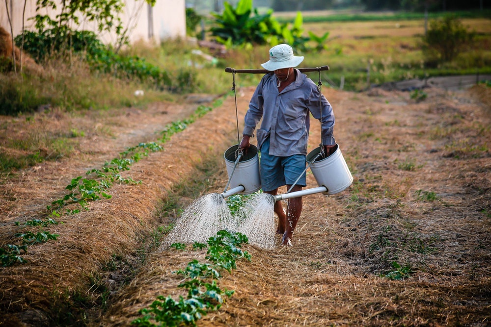 Togo : les PME/PMI auront bientôt un accès facile aux crédits agricoles