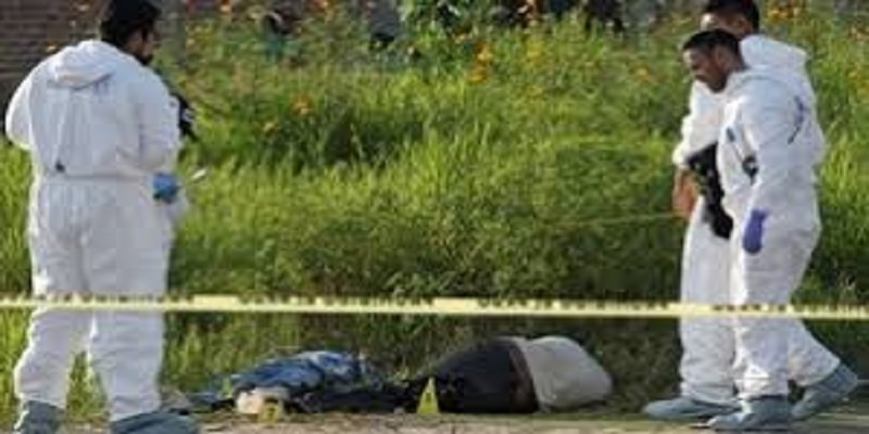 Mexique : 14 cadavres découverts sur une route
