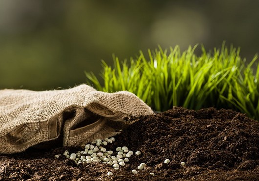 Mieux utiliser les déchets pour fertiliser le sol