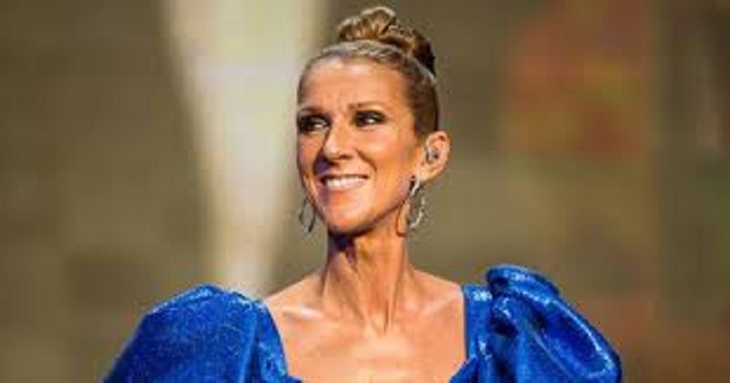 Céline Dion : cette photo de la diva qui inquiète