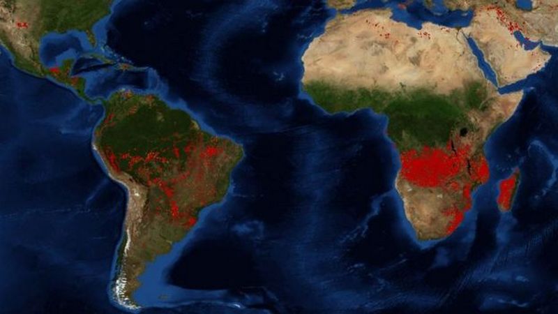 Alerte : plus d’incendies en Afrique centrale qu’en Amazonie