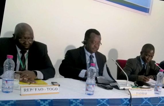 Neuvième réunion de l’équipe multidisciplinaire de l’Afrique de l’Ouest de la FAO