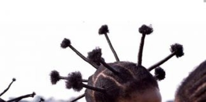 Nigeria : un média qui qualifie une coiffure afro de cheveux Coronavirus, blâmé