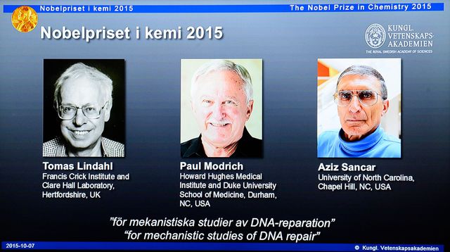 Nobel de Chimie 2015 : les études sur l’ADN récompensées