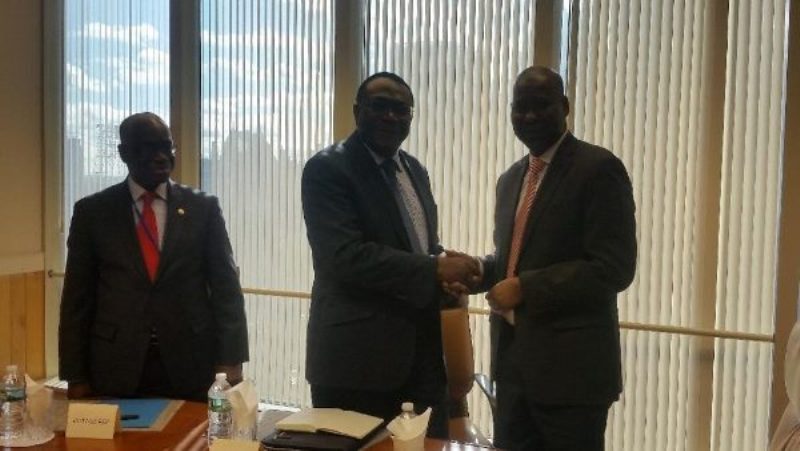 ONU-CEDEAO/le Nigeria prend la relève du Togo