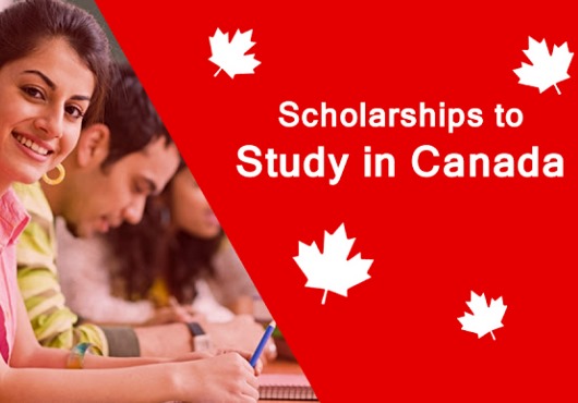 Opportunité de bourse à l’Université de Toronto