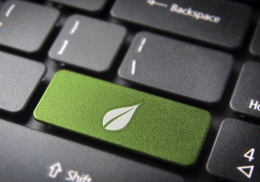 Oser le greenbusiness