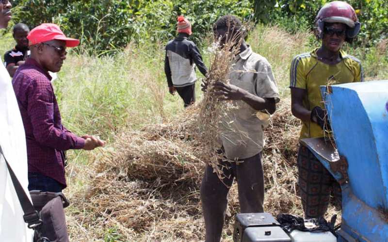 PAEIJ-SP : plus de 35 000 emplois créés au Togo en moins de 2 ans