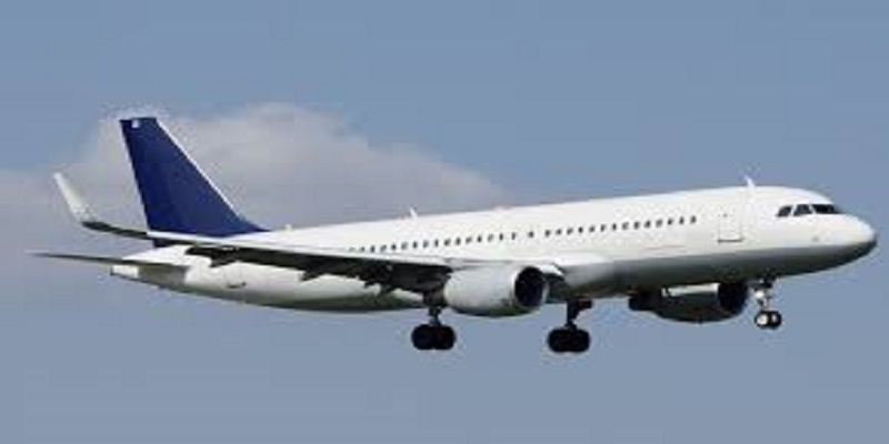 Une passagère décède dans un avion après avoir mangé un morceau de viande