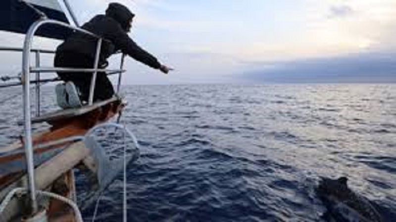 Parti pour un tour du monde en bateau, ce couple ignorait tout du coronavirus