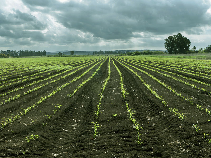 Plus que 4 jours pour participer à la conférence gratuite sur l’agroécologie à Lomé