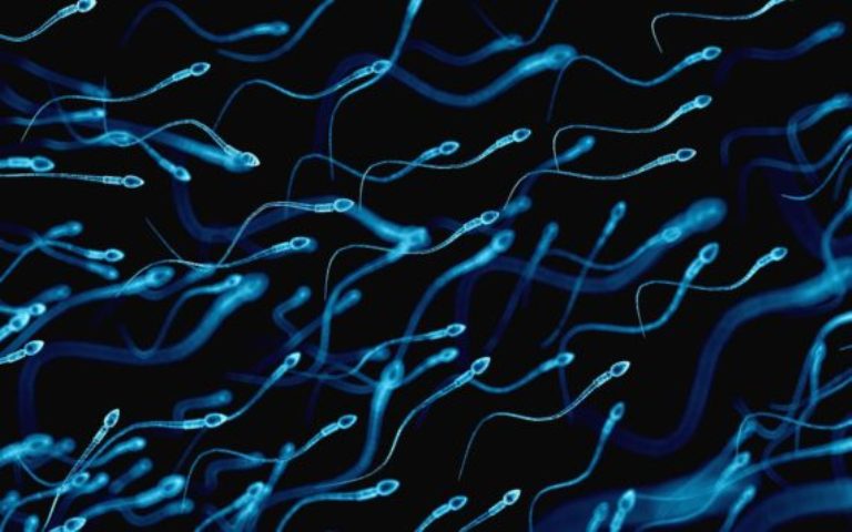 Pour avoir des spermatozoïdes ‘d’enfer’, il faut porter ce type caleçon !
