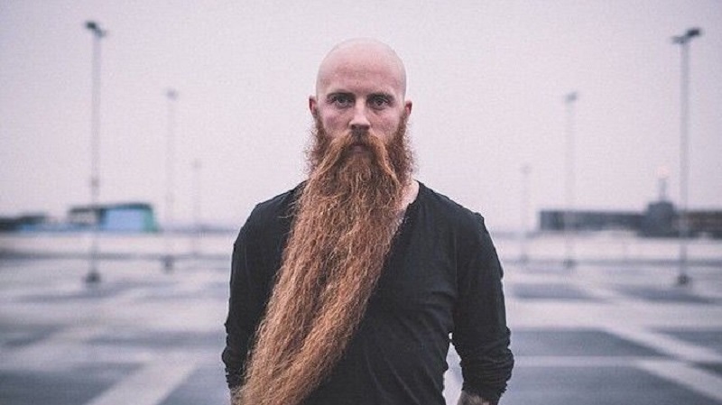 Pourquoi les hommes perdent-ils leurs cheveux mais pas leur barbe ?