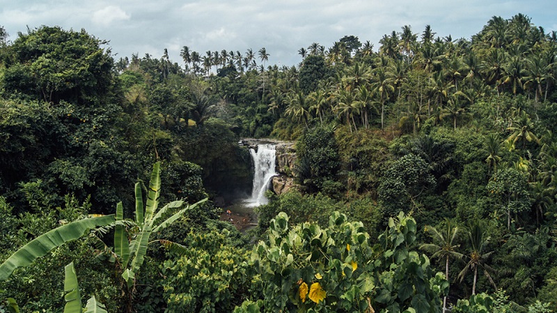 Protection de la faune et de la flore : le Togo parcourt son plan d’investissement