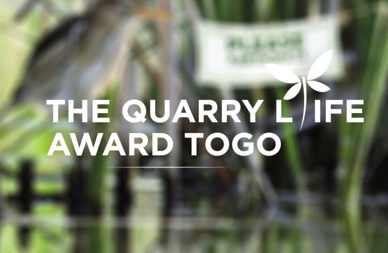 Quarry Life Award : l’Université de Lomé, championne de promotion de la biodiversité dans les carrières au Togo