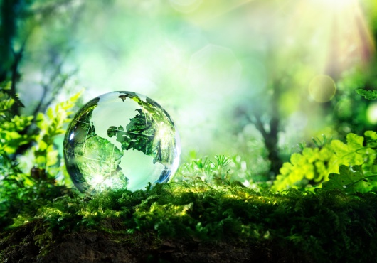 Que retenir de la Cop 21? Les universitaires s’interrogent